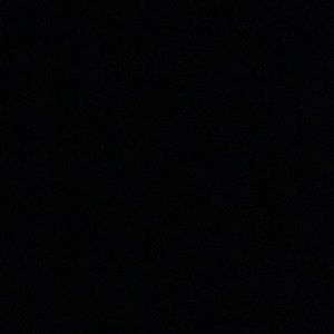 Meet your Posher, Shane